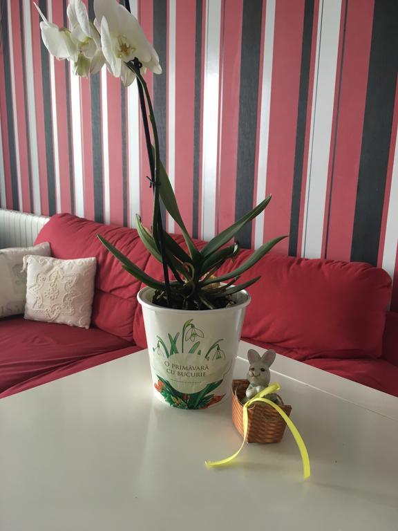 Dora City Apartament Appartement Cluj-Napoca Buitenkant foto